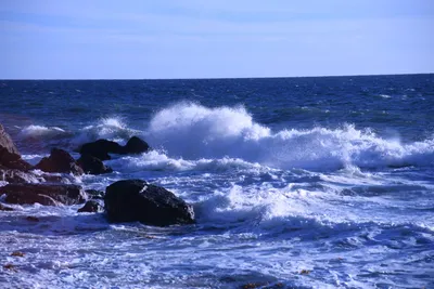 DSC_0580 (Large).JPG